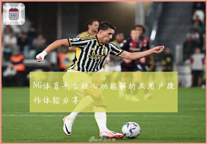NG体育平台核心功能解析及用户操作体验分享