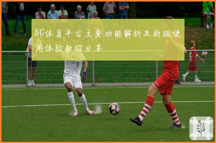 NG体育平台主要功能解析及新版使用体验教程分享